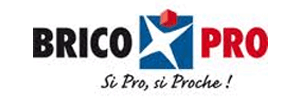 Logo Brico Pro